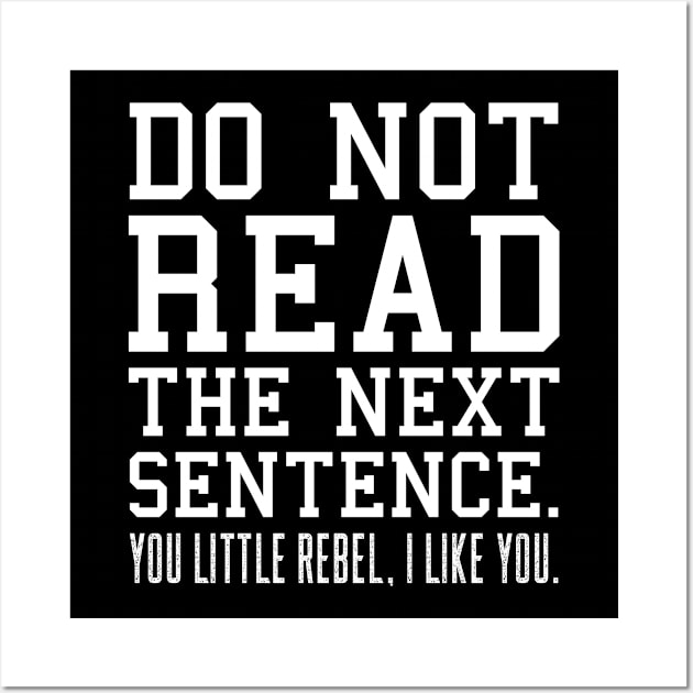 Sarcastic Gift Humor Do Not Read The Next Sentence You Little Rebel I Like You Funny Wall Art by EleganceSpace